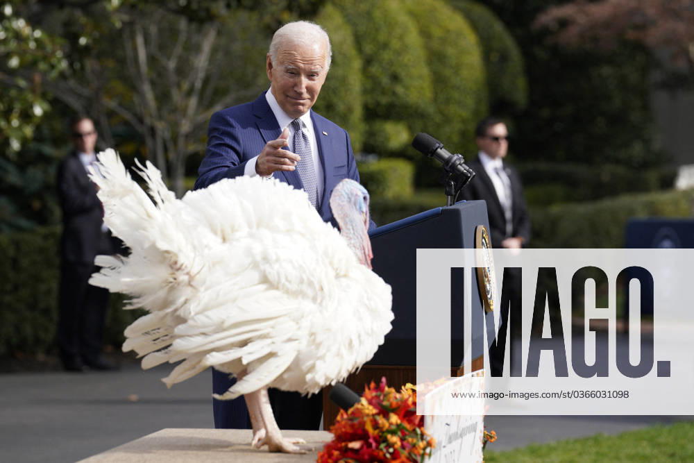 USA, Joe Biden begnadigt Thanksgiving-Truthahn in Washington Joe Biden pardons the Thanksgiving Turkey - Washington U.S. President Joe Biden pardons the National Thanksgiving Turkey during a ceremony on the South Lawn of the White House in Washington on November 20, 2023. Photo by Yuri Gripas ABACAPRESS.COM Washington DC United States
