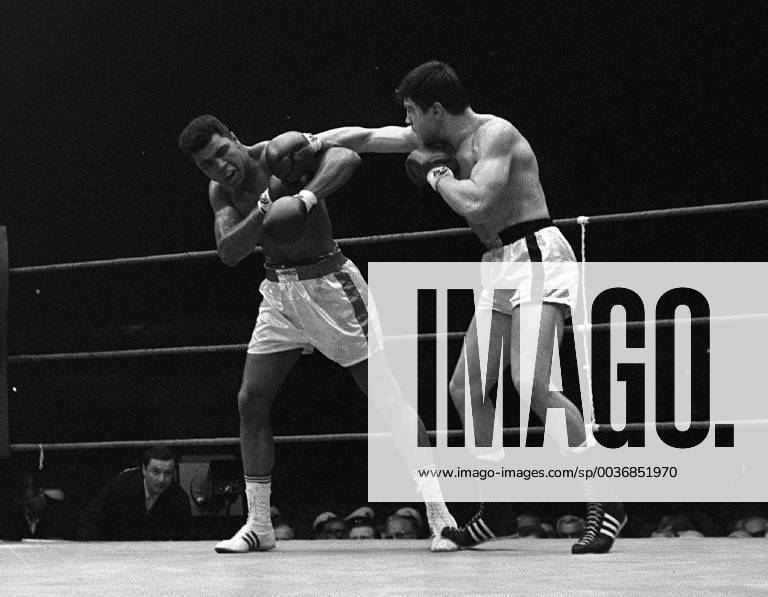 Legendaerer Kampf gegen Ali Karl Mildenberger ist tot. Deutsche Box-Legende Karl Mildenberger stirbt im Alter von 80 Jahren in einem Hospiz bei Kaiserslautern. Archicfoto;Muhammad ALI alias Cassius CLAY(USA, li.), Boxen, Schwergewicht, im Kampf gegen Karl MILDENBERGER, Deutschland, Aktion; Schwarzweissaufnahme, Qf. a