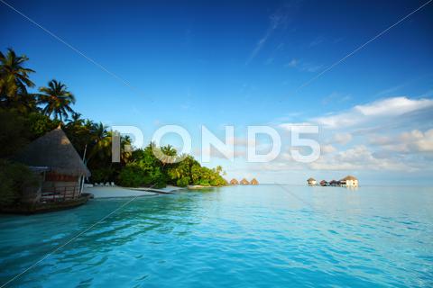 Maldives landscape ocean palm sky maldives island ocean landscape atoll bay beach beauty blue calm caribbean coast coastline exotic green holiday hot hotel house lagoon luxury nature palm paradise recreation relax relaxation resort romantic sand scenery scenic sea seascape serenity shore sky summer sun sunlight sunny tourism travel tree tropic tropical turquoise vacation view water