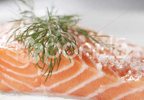 Sugar and salt cured salmon with a dill leaf cuisine nobody raw seafood food sweden swedish scandinavia scandinavian fillet dill salmon cured salt sugar finland