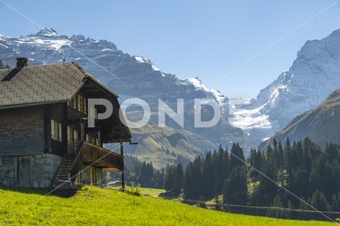 Switzerland Mountain valley Kiental, Berner Oberland Alps. Snow mountains, sunny weather, travel to Swiss. adventure panorama kiental peak rock scenery september snow summit swiss switzerland top tourism glacier river tourist Kandersteg travel traveler trekking vacation valley outdoor oberland mountains alpine alps beautiful walking mountain landscape hiking berner hill jungfrau nature endurance countryside bernese journey europe extreme traditional house