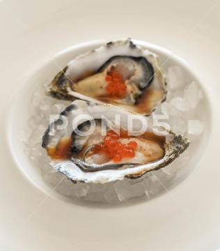 Gourmet portion of two oysters from the European Mediterranean appetizer bivalve closeup cooking cuisine delicacy delicatessen delicious dinner dish eat expensive fish fish and shellfish food fresh fresh product freshness gourmet grilled oysters healthy ice japan lemon lime lime juice lunch luxury meal mollusk natural product nutrition omega-acids oyster oyster shell oysters oysters on the half shell plate protein raw restaurant sea seafood seasoning serving dishes shell shellfish taste tasty vitamins