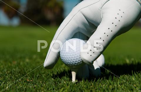 Hand putting golf ball on tee in golf course. Golf ball in grass. Golf ball on tee ready to be shot golf ball Hand putting tee course grass ready be shot golfing golfer play sport club outdoor green hole playing practice player field put glove activity swing lawn competition equipment golfball