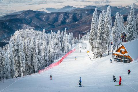 One of the most famous winter ski resort with skiers on the slope and snow covered pine forest in background, Poiana Brasov, Carpathians, Romania, Europe activity alpine altitude attraction Brasov building Christmas cold cottage course cover December destination downhill Europe forest freeze hill hiking house hut ice January landscape leisure location mountain nature outdoor picturesque place Poiana popular recreation resort Romania scenery season ski skier slope snowy sport tourism Transylvania travel vacation valley view winter