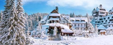 Kopaonik, Serbia ski resort panorama with slope, snow covered houses and trees in winter time kopaonik serbia banner snow ski resort aerial house panorama panoramic cottage chalet piste vibrant mountain ski slope skier skiers skiing lift ski lift station sport ski slope travel life bright pine tree active sun high blue vacation white snowboarding resort season building horizontal