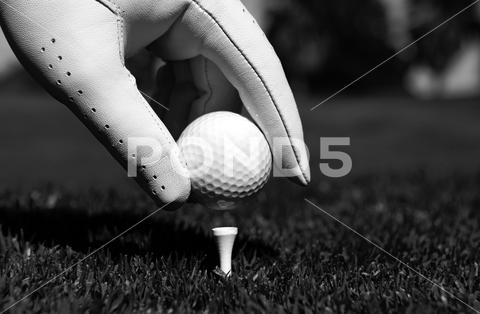 Hand putting golf ball on tee in golf course. Golf ball in grass golf ball Hand putting tee course grass club play sport golf gloves outdoor lawn put swing glove green golfball player practice playing golfer hole activity golfing equipment competition field