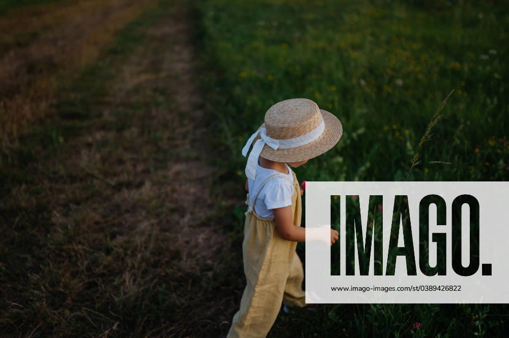 Rear view of adorable little girl with straw hat on walk during warm summer evening. Rear view of adorable little girl with straw hat on walk during warm summer evening. Child with curly blonde hair picking flowers during sunset. Kids spending summer with grandparents in the countryside. model released