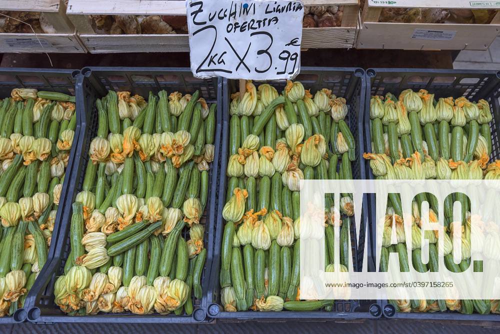 Frische Zucchini in Kisten vor einem Gemüseladen in der Altstadt, Genua, Italien, Europa