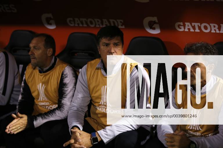 Futbol, Universidad Catolica vs Libertad. Copa Libertadores 2019 El entrenador de Libertad Jose Chamot, dirige a sus jugadores durante el partido contra Universidad Catolica por el grupo H de Copa Libertadores en el estadio San Carlos de Apoquindo. Santiago de Chile. 10 04 2019 Javier Torres Photosport Football, Universidad Catolica vs Libertad. Copa Libertadores Championchip 2019 Libertad s head coach Jose Chamot, gives intructions to his payers during group H for Copa Libertadores Championship against Universidad Catolica at San Carlos de Apoquindo stadium. Santiago, Chile. 10 04 2019 Javier Torres Photosport Universidad Catolica vs Libertad, Copa Libertadores 2019