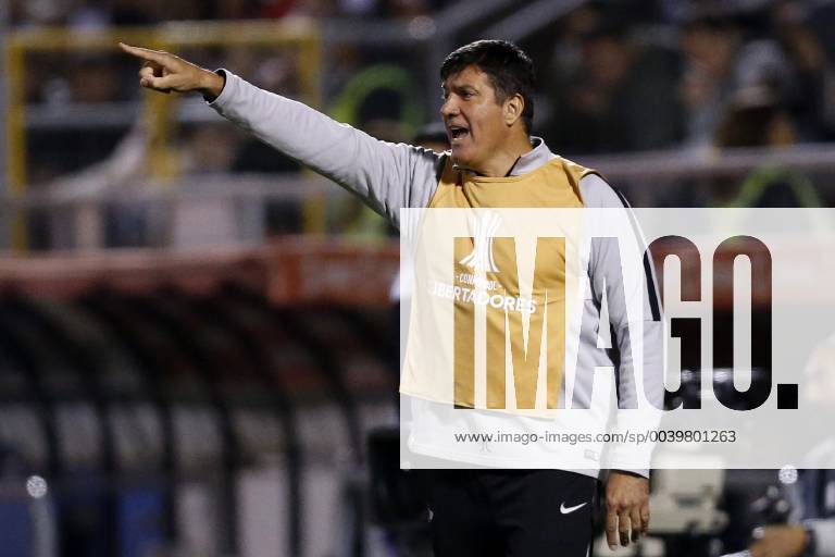 Futbol, Universidad Catolica vs Libertad. Copa Libertadores 2019 El entrenador de Libertad Jose Chamot, dirige a sus jugadores durante el partido contra Universidad Catolica por el grupo H de Copa Libertadores en el estadio San Carlos de Apoquindo. Santiago de Chile. 10 04 2019 Javier Torres Photosport Football, Universidad Catolica vs Libertad. Copa Libertadores Championchip 2019 Libertad s head coach Jose Chamot, gives intructions to his payers during group H for Copa Libertadores Championship against Universidad Catolica at San Carlos de Apoquindo stadium. Santiago, Chile. 10 04 2019 Javier Torres Photosport Universidad Catolica vs Libertad, Copa Libertadores 2019