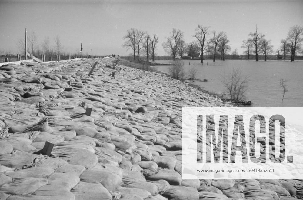 The Bessie Levee, along a subsidiary of the Mississippi River, augmented with sand bags during the flood near Tiptonville, Tennessee, 1937 (b w photo) 3666434 The Bessie Levee, along a subsidiary of the Mississippi River, augmented with sand bags during the flood near Tiptonville, Tennessee, 1937 (b w photo) by Evans, Walker (1903-75); Private Collection; (add.info.: Photograph taken for the U.S. Resettlement Administration: a New Deal U.S. federal agency that, between April 1935 and December 1936, relocated struggling urban and rural families to communities planned by the federal government. ).