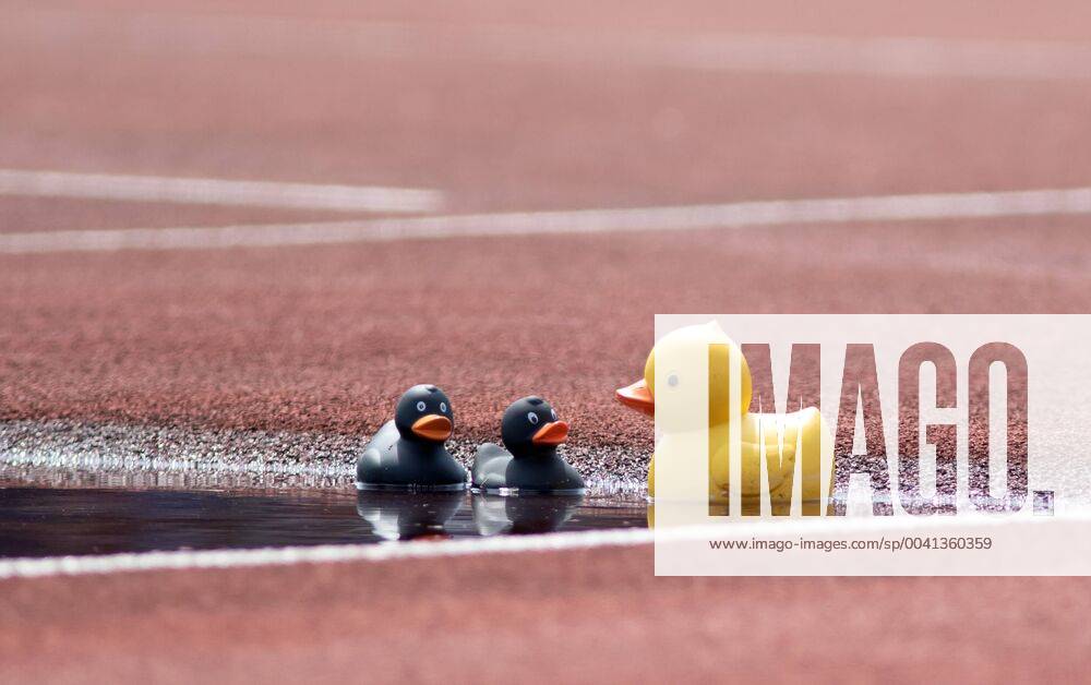 KW30 Deutsche Jugend-Meisterschaften; Ulm, 26.07.2019 Impression: Entenfamilie im Wassergraben; Deutsche Jugend-Meisterschaften am 26.07.2019 im Donaustadion in Ulm (Baden-Wuerttemberg).