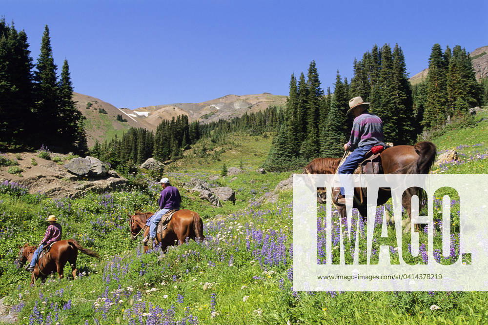 South Chilcotin Range, Cinnabar Basin, Outfitter leading trail ride