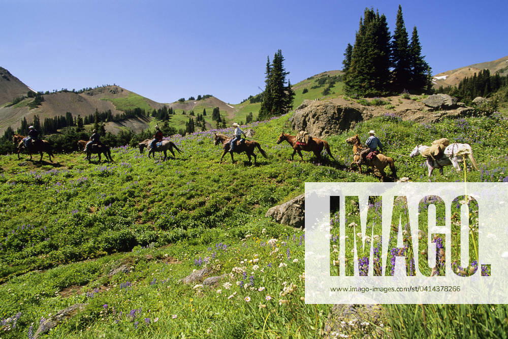 South Chilcotin Range, Cinnabar Basin, Outfitter leading trail ride