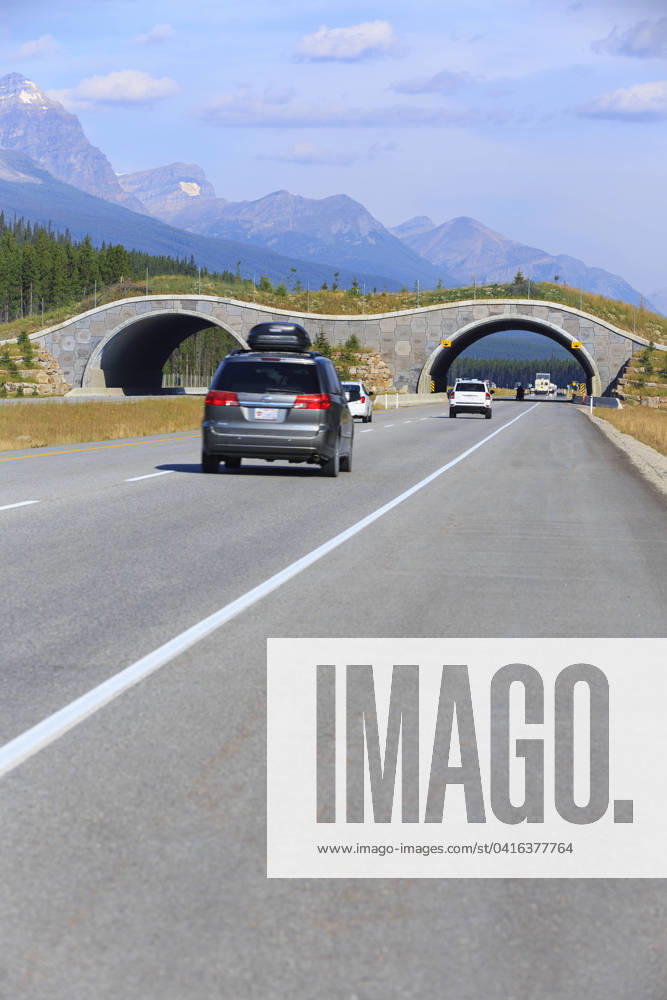 Wildlife bridge crossing over the Trans-Canada Highway, Banff National Park, Alberta, Canada