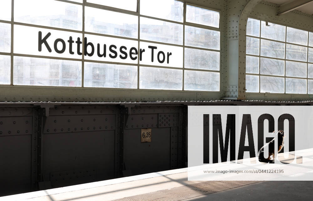 Berlin - Deutschland. Ein Hund wartet am U-Bahnhof Kottbusser Tor. Worauf, ist unklar.