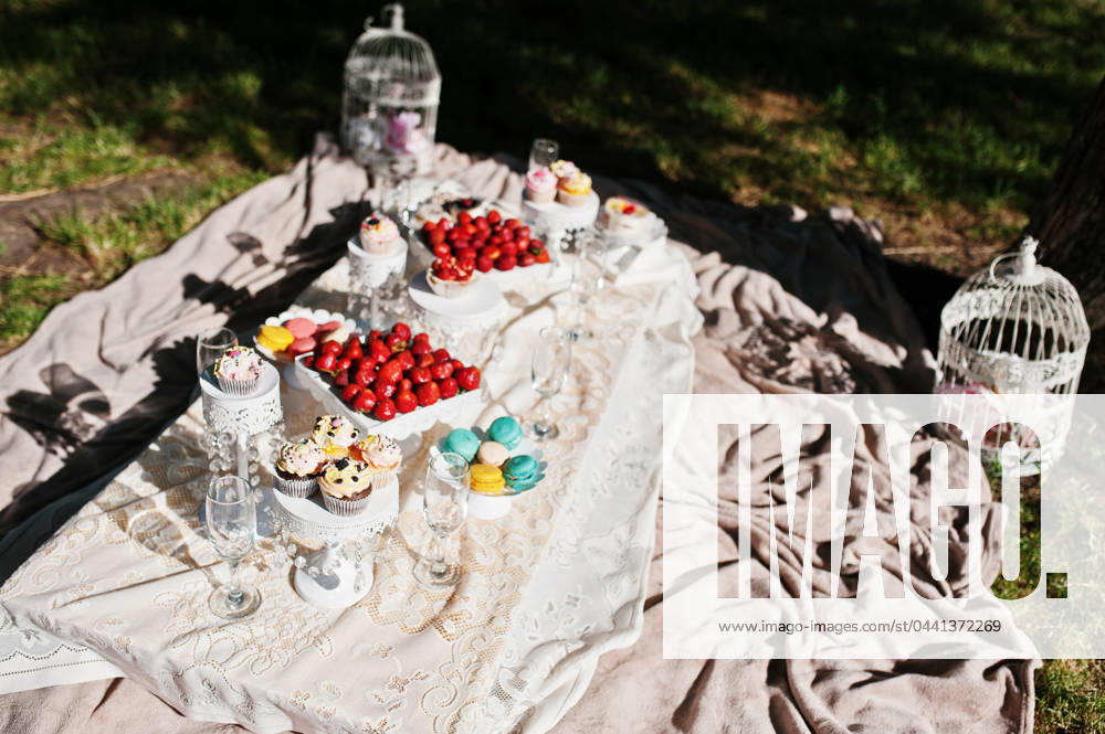 Picnic table with decor on grass with macaroon, strawberry and cup cake Picnic table with decor on grass with macaroon, strawberry and cup cake ,model released, Symbolfoto ,property released