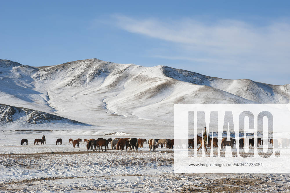 Herders relocating a herd of horses to a winter pasture near Ulaanbaatar, Mongolia. Herders relocating a herd of horses to a winter pasture near Ulaanbaatar, Mongolia., Credit:Wolfgang Kaehler Avalon 0534925777