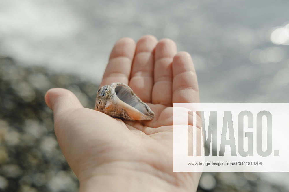 Woman holding seashell at beach model released, Symbolfoto, KVBF00024
