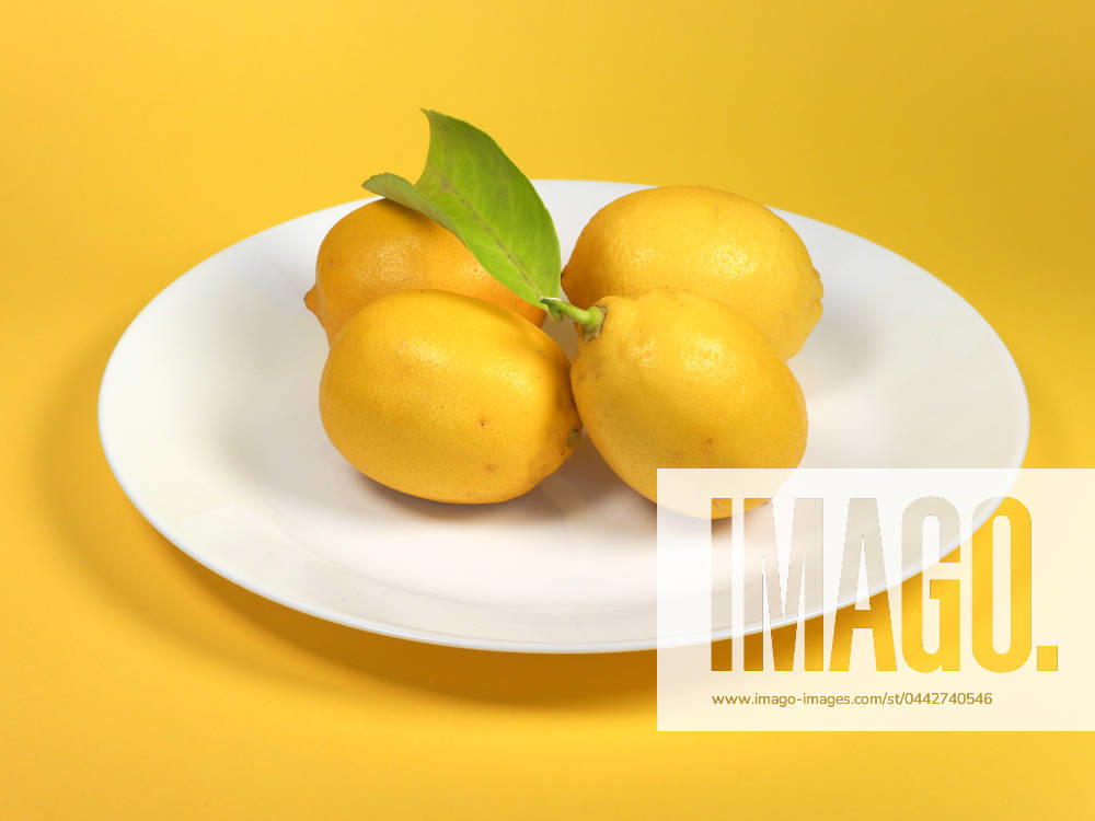 Lemons in a dish four lemons in a dish over yellow background with copy space