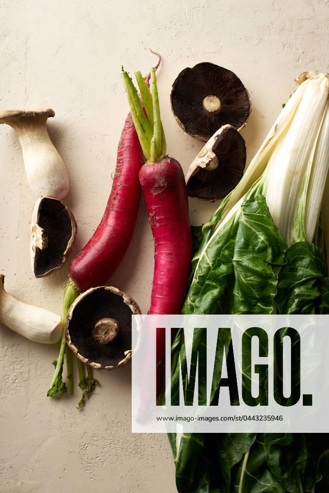 IMAGO Creative, Sommer, Food, Radieschen mangold,rettich,champignons,rettiche,angerling,angerlinge,champignon,egerling,egerlinge,speisepilz,speisepilze ** chard,radish,mushrooms,chards,radishs,mushroom 539-mzl
