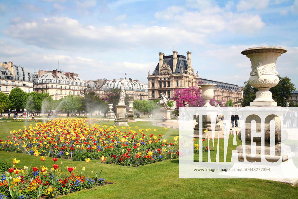 Parkanlage,paris,jardin des tuileries,grünanlage,grünanlagen,park,parkanlagen,öffentliche anlage,tuileriengarten ** park,paris,jardin des tuileries,parks ktn-jfn