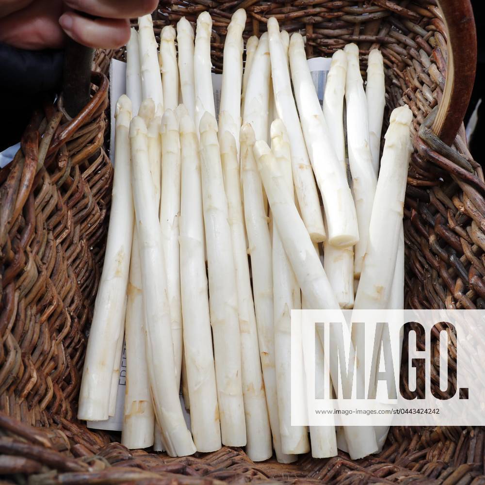IMAGO Creative: Food, Spargel bei der Eroeffnung der Beelitzer Spargelsaison 2024 auf dem Winkelmann Spargel- und Erlebnishof in Klaistow.