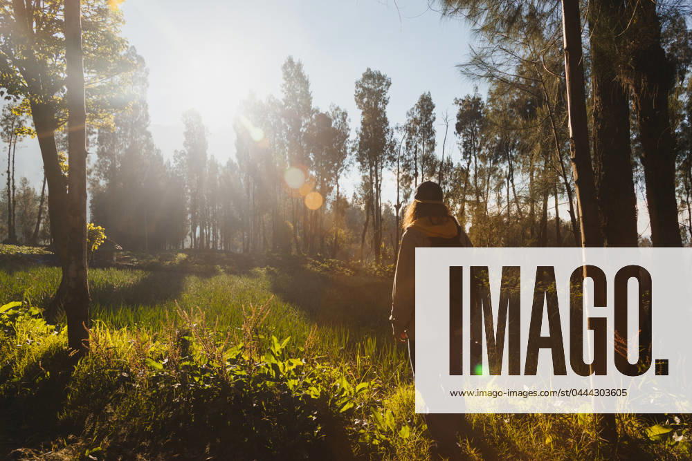 A tranquil morning scene of a hiker trekking through a lush Indonesian forest with the sun casting a warm glow among the trees Model Released PabloMenendez_ID19741_585335_050