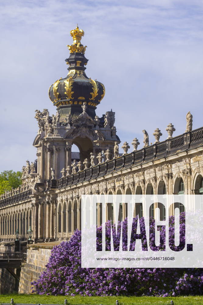 Frühling am Dresdner Zwinger Prachtvoll blüt der Flieder am Zwingergraben. Dresden Sachsen Deutschland