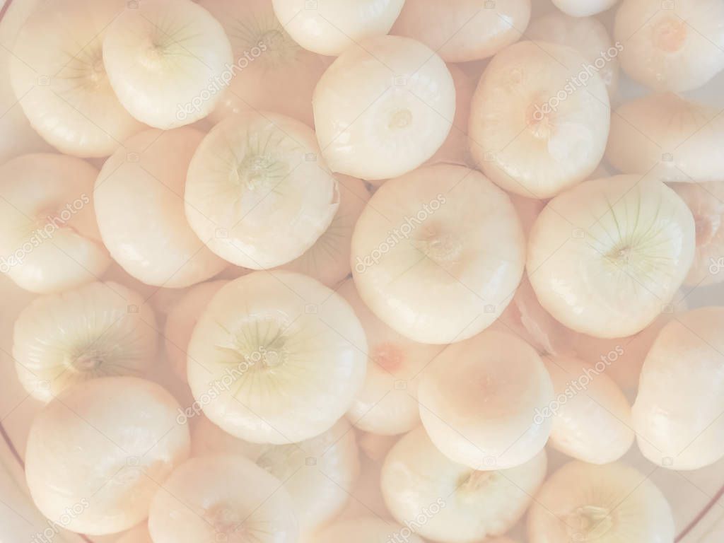 Onion (Allium cepa) also known as garden or bulb onion, delicate soft faded tone useful as background