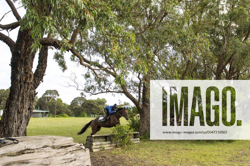 KW18 Sport Bilder der Tages RACING BARWON HEADS TRACKWORK, Champion jumps jockey Steven Pateman rides Siempro over the jumps during a trackwork session at Barwon Heads, Victoria, Monday, April 27, 2020. Steven Pateman will be riding at next weeks jumps meeting at Warrnambool.( NO ARCHIVING, , NO USE IN BOOKS WITHOUT CONSENT MELBOURNE VIC AUSTRALIA