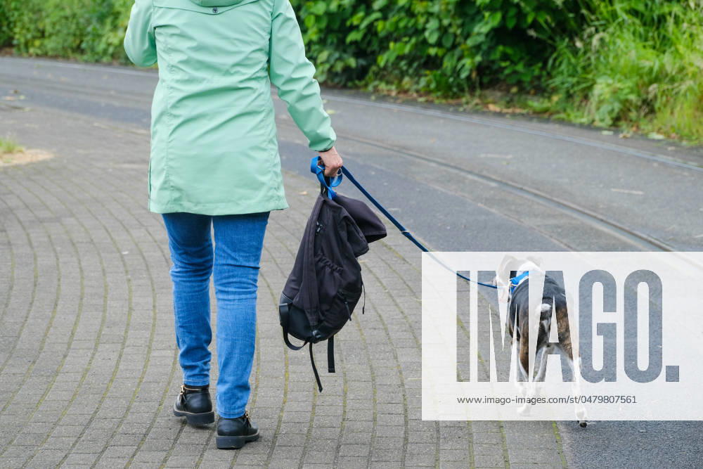 Düsseldorf 22.05.2024 Hund Hunde Gassi gehen gassigehen Spaziergänger spazieren Spaziergang Hundekot Hundekotbeutel Kotbeutel Hundescheisse Hundehaufen Düsseldorf Nordrhein-Westfalen Deutschland