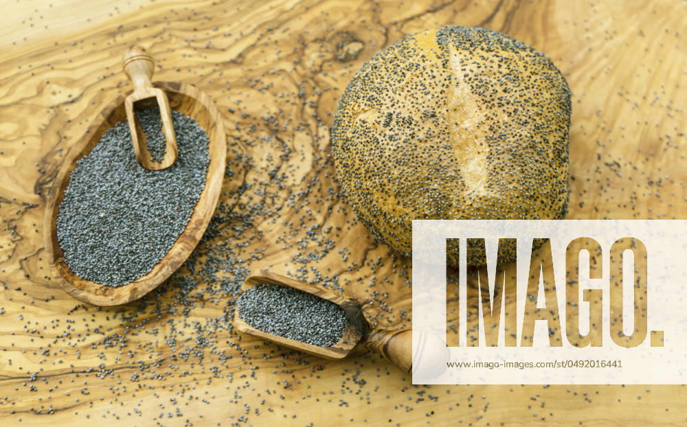 IMAGO Creative: Food, Mohn Mohnbroetchen und Mohnsamen in Holzschale und auf Holzschaeufelchen Poppy seed rolls and poppy seeds in a wooden bowl and on a wooden scoop BLWS709976