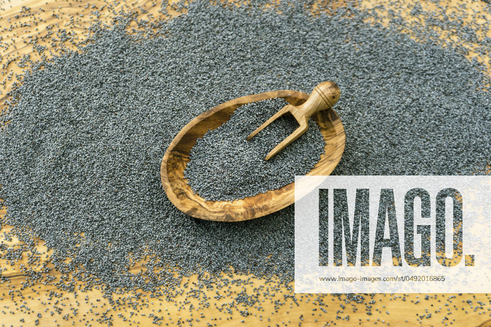 IMAGO Creative: Food, Mohn Mohnsamen in Holzschale und auf Holzschaeufelchen poppy seeds in a wooden bowl and on a wooden scoop BLWS709981