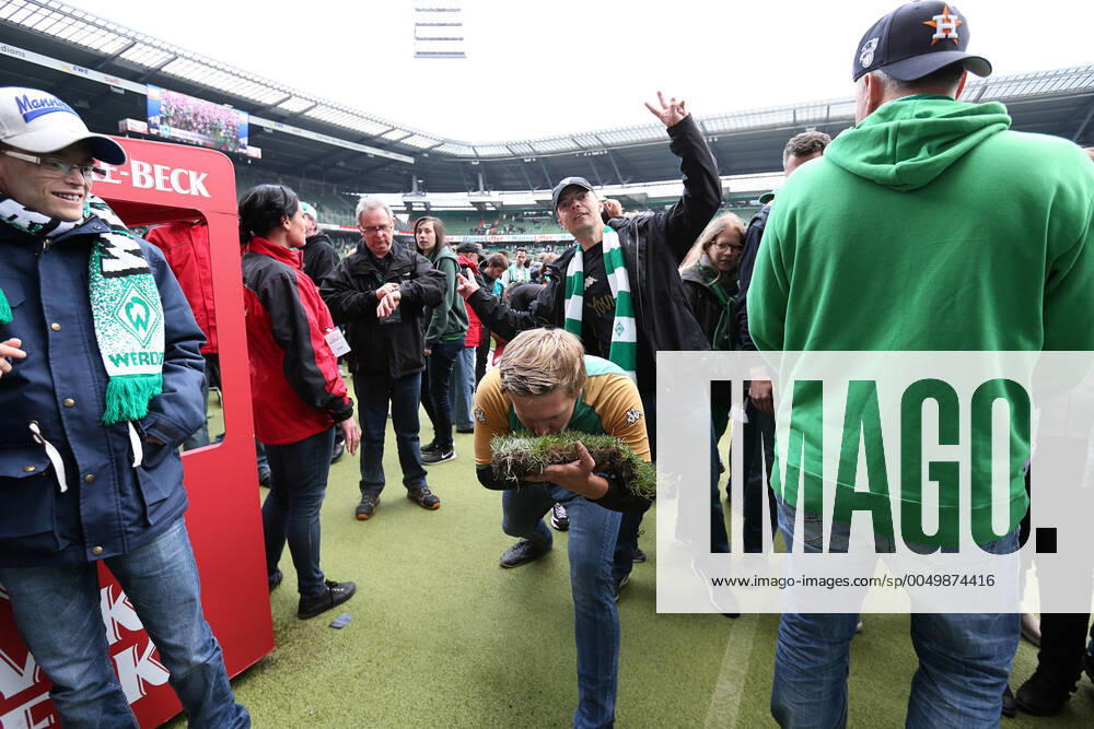Bremen, Deutschland 14. Mai 2016: 1. BL - 15 16 - SV Werder Bremen vs. Eintracht Frankfurt Nach dem vermiedenen Abstieg stuermen die Fans den Rasen und feiern. Ein Fan hat ein Teil des Rasens des Weserstadions als Trophaee ergattert. Feature Symbol Symbolfoto charakteristisch Detail quer, querformat 1. BL - 15 16 - SV Werder Bremen vs. Eintracht Frankfurt