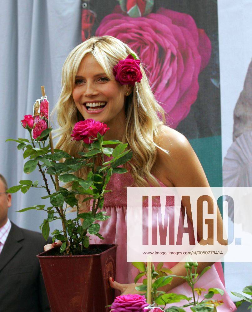 Model Heidi Klum (GER) anlässlich einer Werbekampagne in Dingers Gartencenter in Köln bei der eine Rosensorte auf den Namen -Heidi Klum Rose- getauft wird