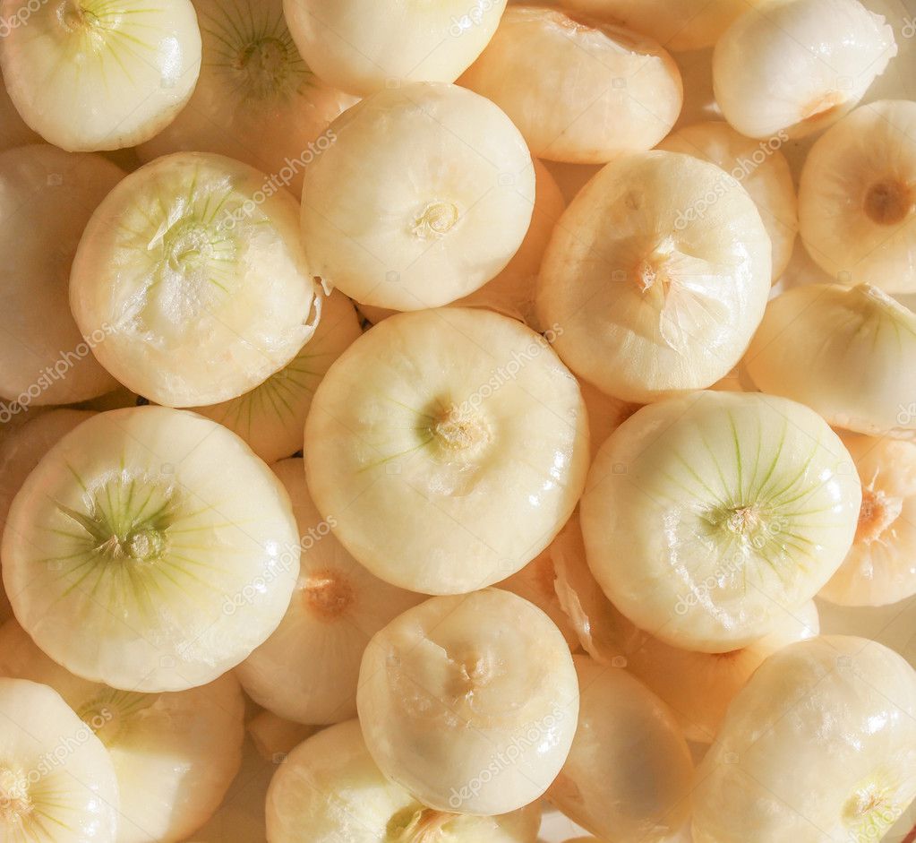 Onion (Allium cepa) also known as garden or bulb onion