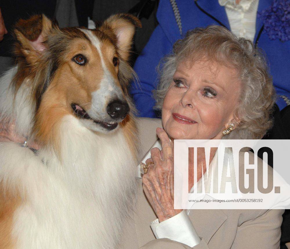 Schauspielerin June Lockhart mit Hund Lassie anlässlich der Vorstellung einer Briefmarkenserie - Early TV Memories - in North Hollywood - (ZUMAd79)