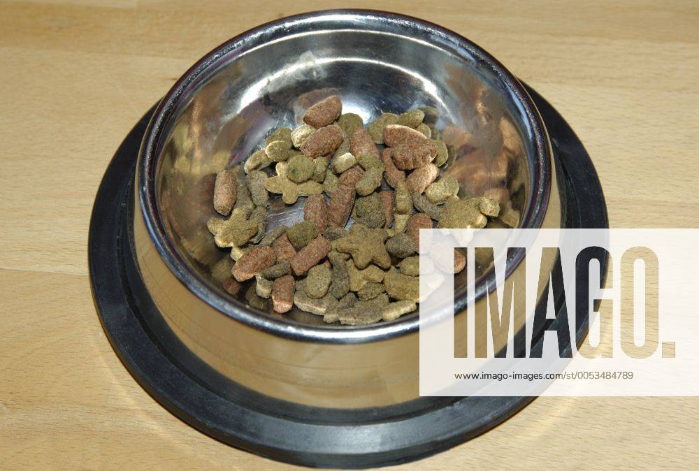 Napf mit Katzenfutter cup cat food BLWS029751