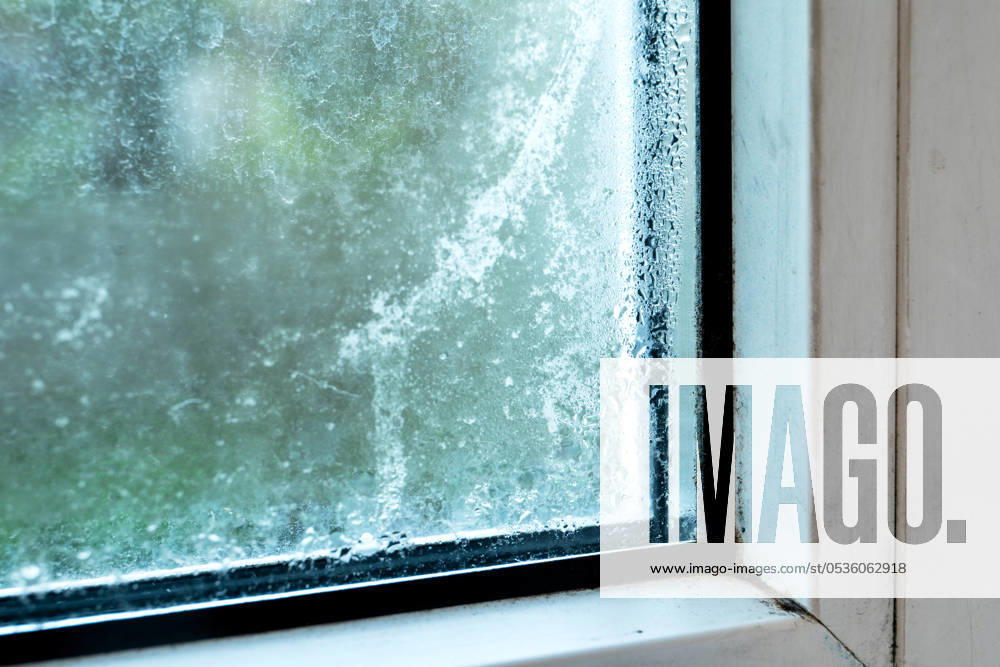 House Window With Damp And Condensation. Mold and allergy concept.