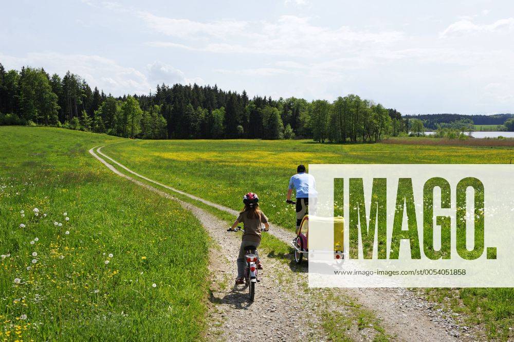 Radfahrer am Pelhamer See, Eggstätterseenplatte, Chiemseeradweg, Chiemgau, Oberbayern, Bayern, Deutschland, Europa ibldwb01546801