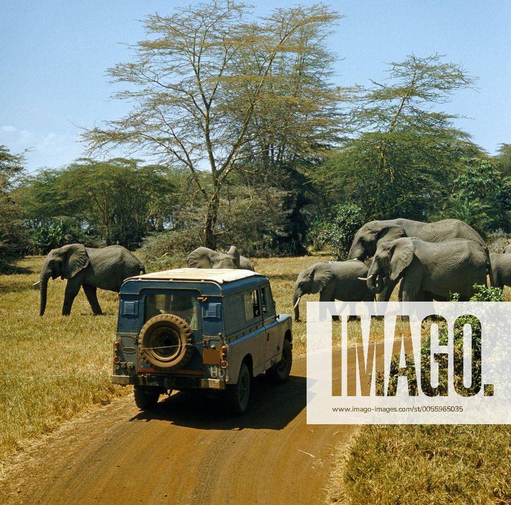Touristen mit Geländewagen auf Safari in der Savanne begegnen Elefantenherde Safari_116506