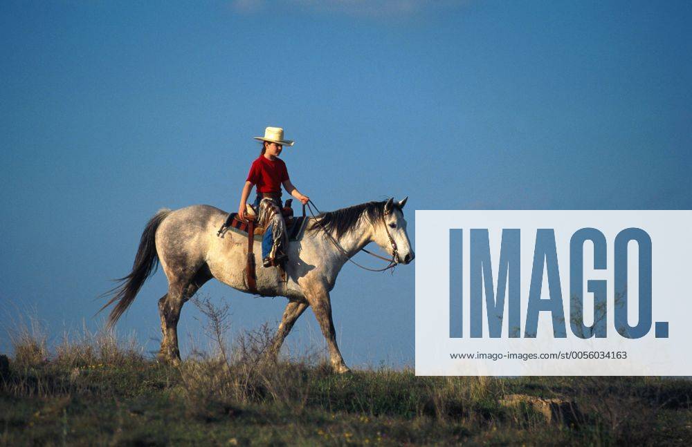 Quarter Horse (Equus przewalskii f. caballus), Cowgirl Quarterhorse (Equus przewalskii f. caballus), cowgirl, riding BLWS009641