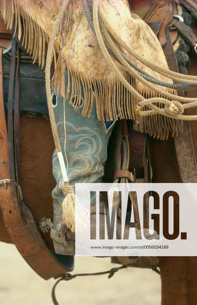 Quarter Horse (Equus przewalskii f. caballus), Cowboy, Chaps und Stiefel Quarterhorse (Equus przewalskii f. caballus), cowboy, chaps and boots BLWS009650