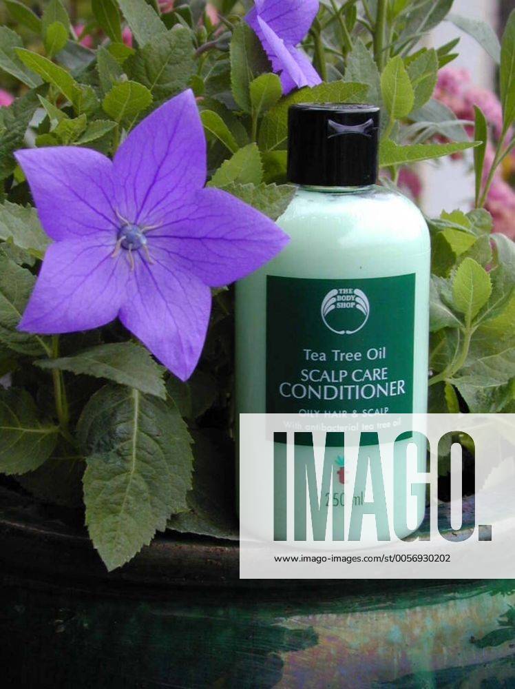 Feature Symbol: The Body Shop 08 02 teu England Großbritannien Marke Markenprodukt Kosmetik Kosmetikprodukte Naturprodukt Naturprodukte Pflege Pflegeprodukte Pflegemittel Hautpflege Haarpflege Unternehmen Firma Kette Geschäft Geschäfte Shops Laden Läden Flasche Fläschchen Gebrauchsflasche Scalp Care Conditioner Tea Tree Oil Teebaumöl Blume Blumentopf Arrangement hoch Auftrag WB