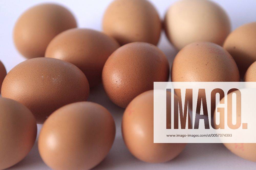Egg, eggs (CTKxPhoto JakubxSyrucek) CTKPhoto545201203120325101