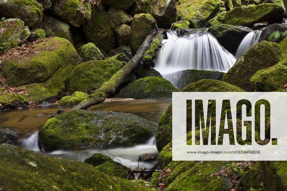 Bach, Druidenweg, Ysperklamm, Waldviertel, Niederösterreich, Österreich, Europa iblals02325380