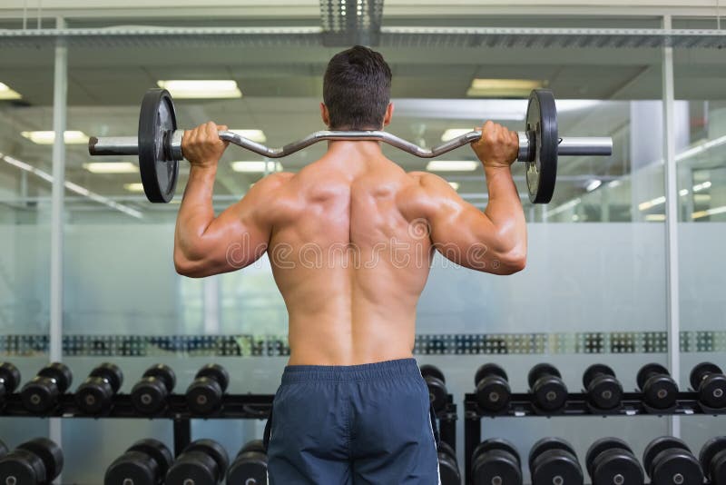 Rear view of a muscular man lifting barbell, Rear view of a shirtless muscular man lifting barbell in gym model released