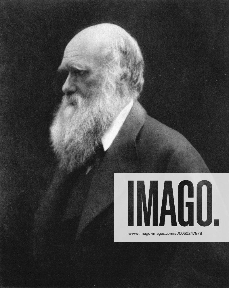 UK -- Portrait of Charles Darwin - one of the greatest scientists ever who became famous after a trip on HMS Beagle to South America, which became the basis of his theory of evolution which he wrote in The Origin of Species - Picture by Julia Margaret Cameron Lightroom Photos UnitedArchives01184083