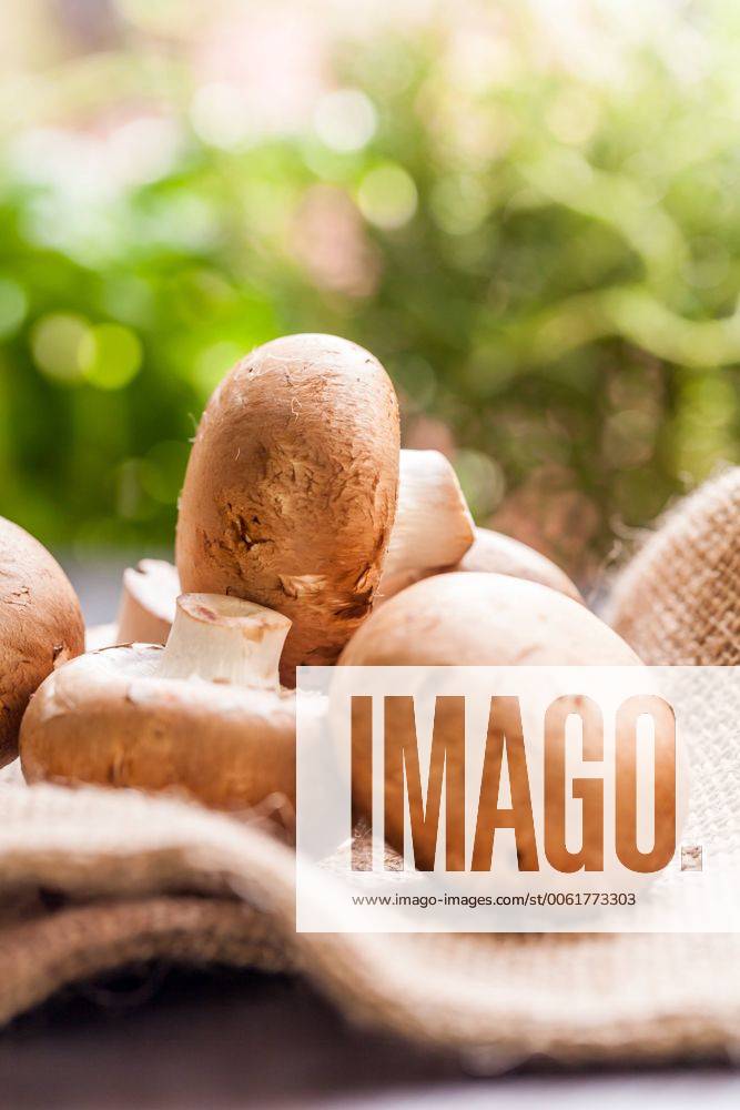 Frische braune champignons im Sonnenlicht auf einem Holztisch bei Tageslicht
